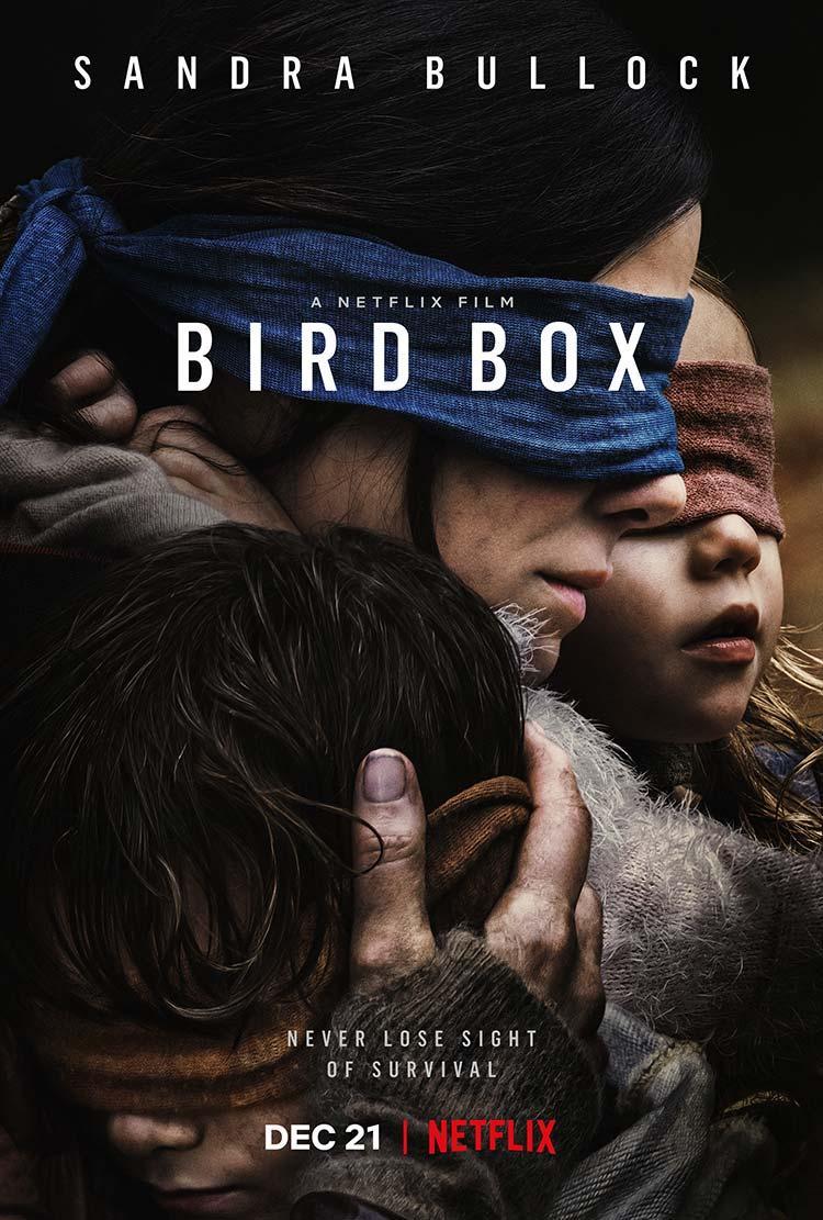 Portada serie Bird Box