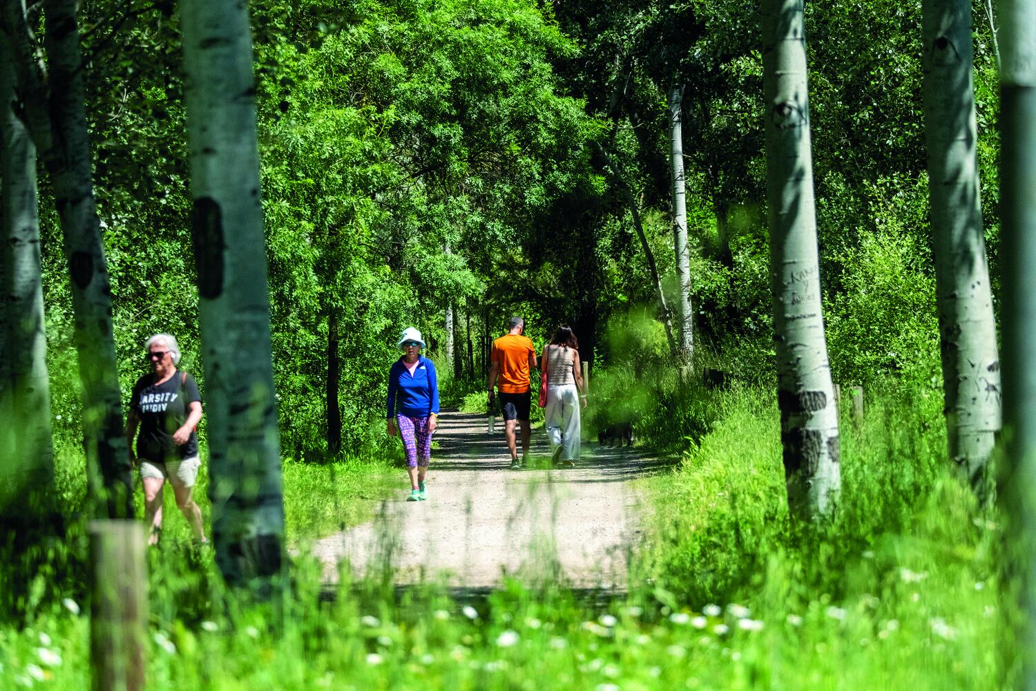 Fotografia del parc del Cardener