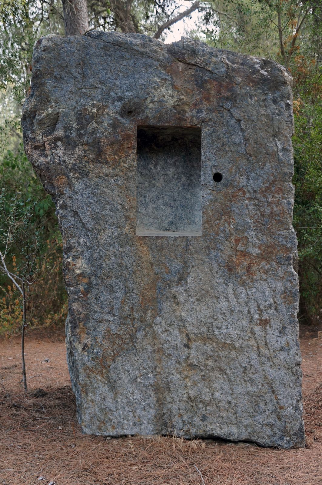 AIGUA. A José Agustín Goytisolo