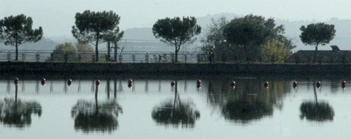 Taula rodona  del Pou de la Gallina sobre el tema 
