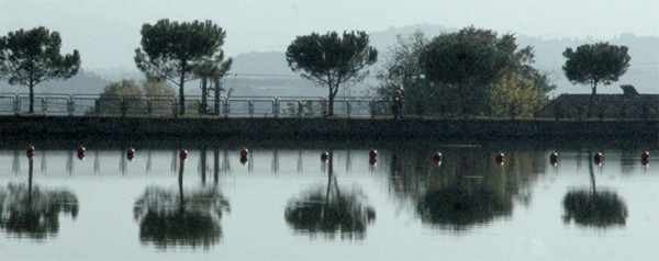 Taula rodona  del Pou de la Gallina sobre el tema 