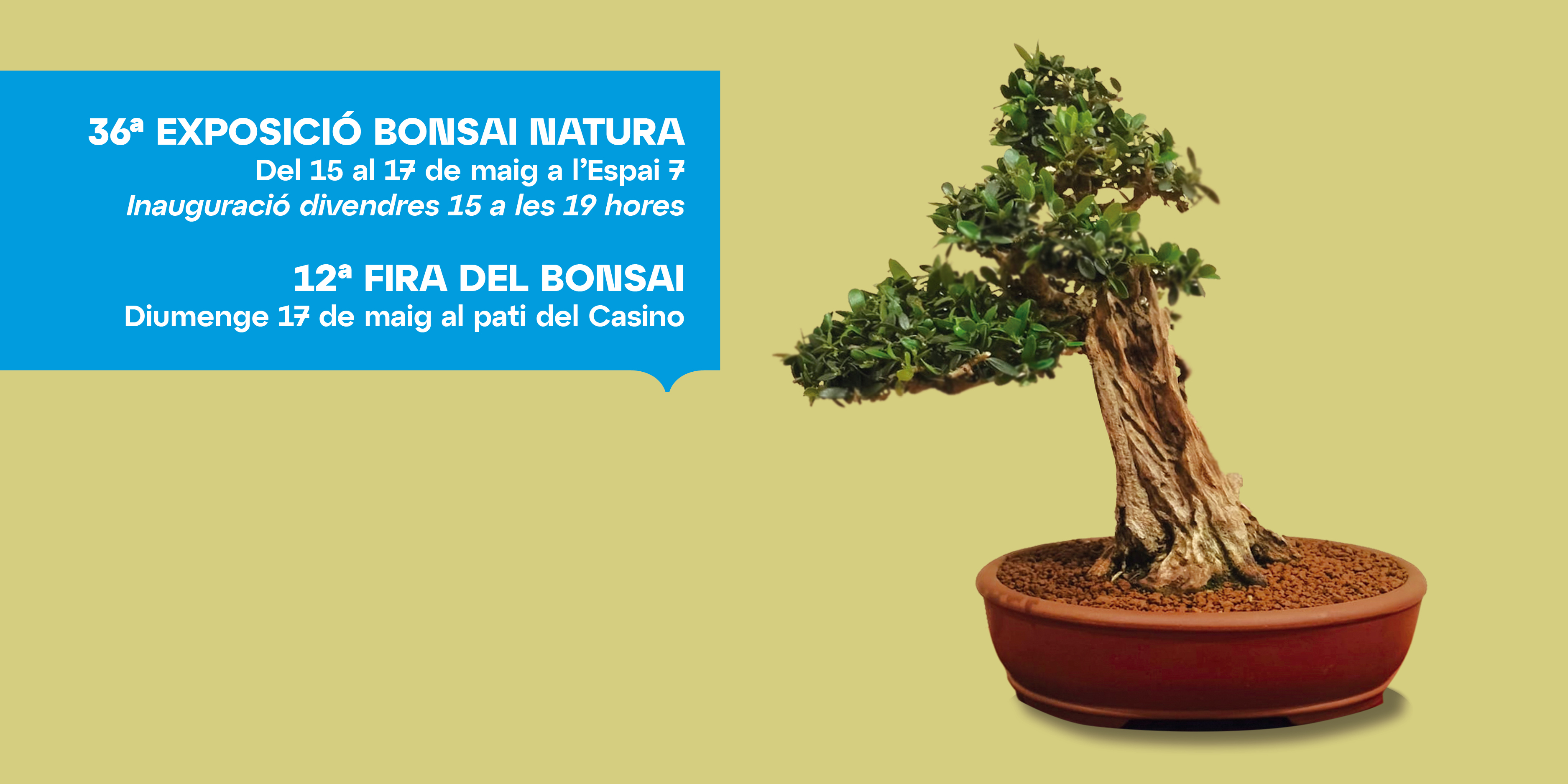 BONSAI NATURA 2026
