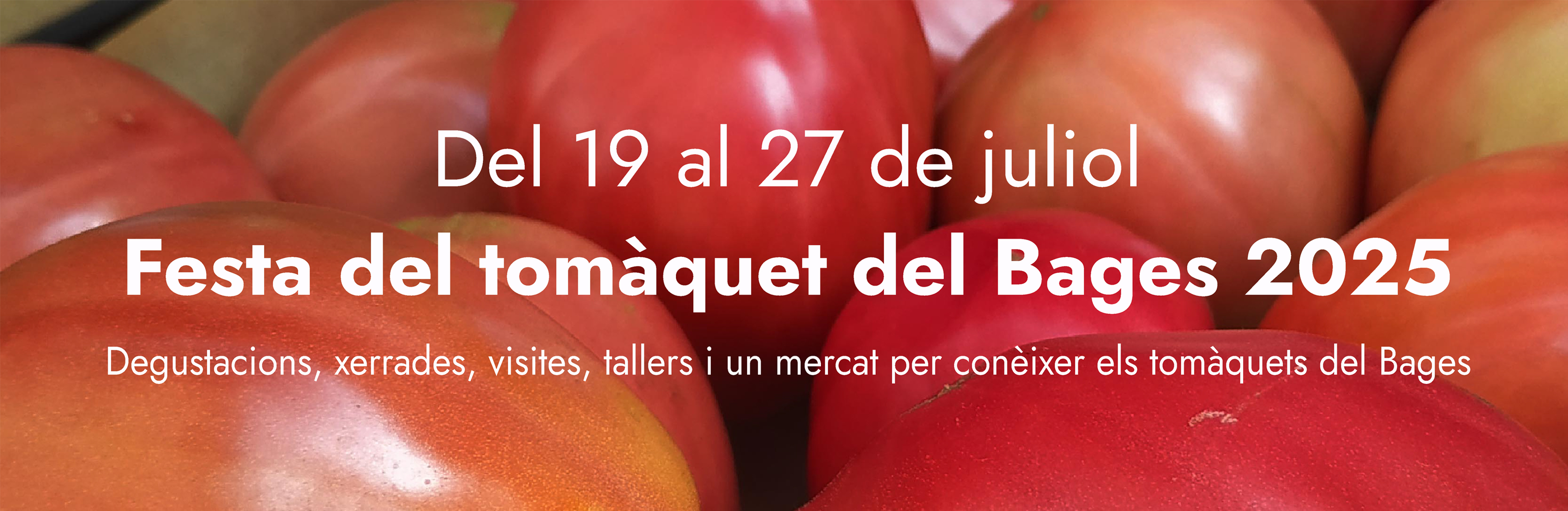 Portada festa del tomàquet