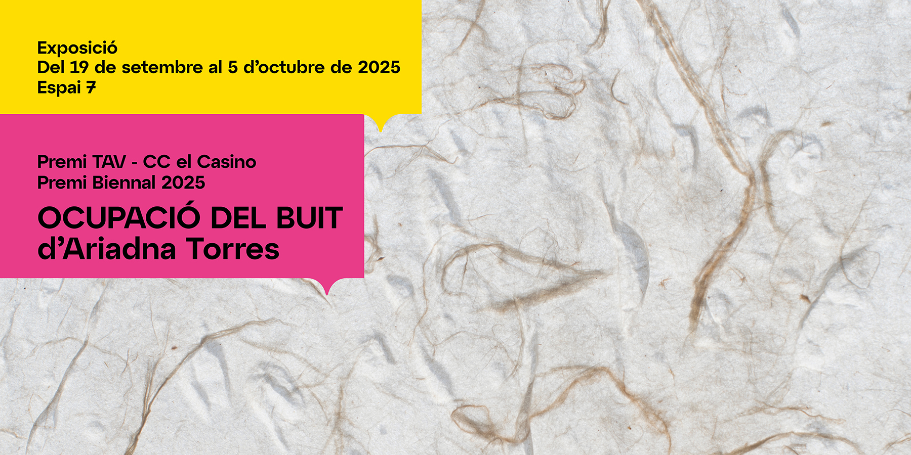 OCUPACIÓ DEL BUIT