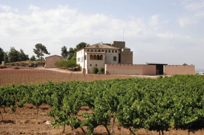 Manresa Medieval y experiencia Enológica