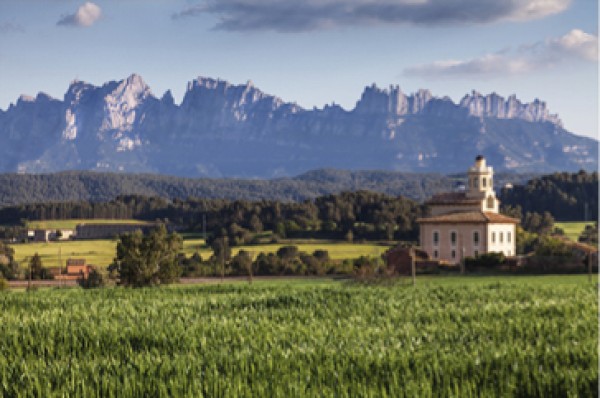 Caminades guiades per l'Anella Verda
