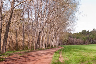 La Riera de Rajadell