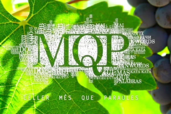 Celler Més que paraules