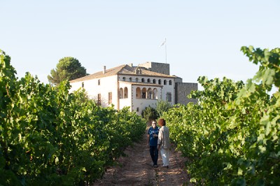 Entre vinyes i història: Oller del Mas i Manresa