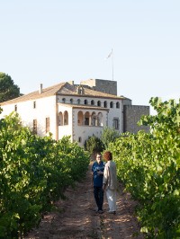 Entre viñas e historia: Oller del Mas y Manresa