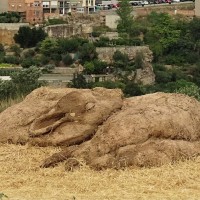 Espècies. Ritual de conservació