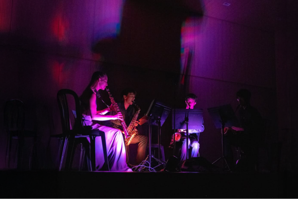 VARIACIONS EN FORMAT VERTICAL