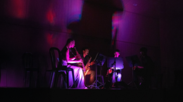 VARIACIONS EN FORMAT VERTICAL