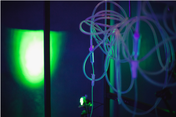 LA SEGONA PELL DISTANT