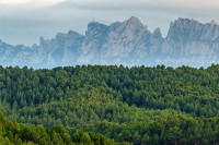 Itinerario de fotografía de naturaleza