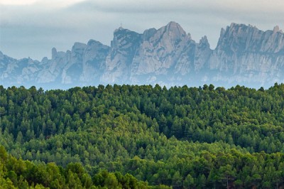 Itinerario de fotografía de naturaleza
