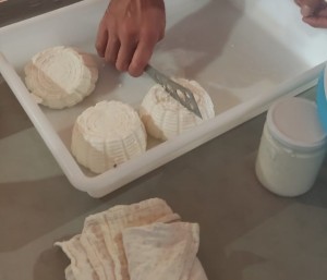 Demostració d’elaboració de formatge fresc