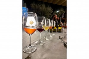 Maridatge de tomàquets i de varietats recuperades de vinya de la Torre Lluvià