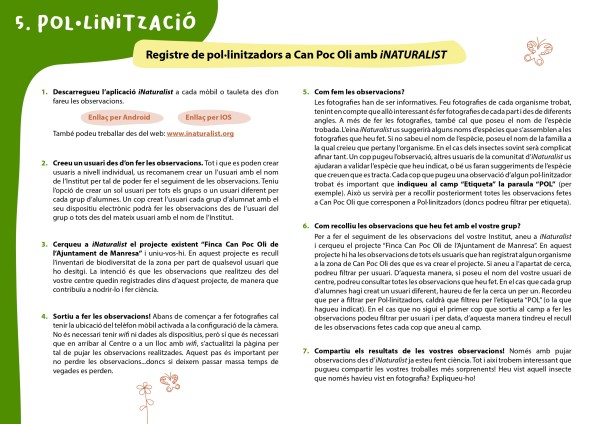 Tutorial pol·linitzadors iNaturalist