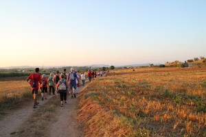 Itinerari pel regadiu de Mas d’en Pla