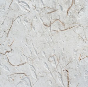 OCUPACIÓ DEL BUIT