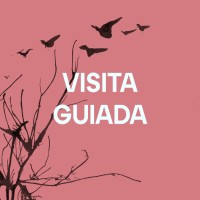 EL CEL NOCTURN DE LA TARDOR. Visita a l’observatori Astronòmic de Castelltallat
