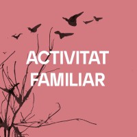 DESCOBREIX L'UNIVERS DINS D'UN PLANETARI