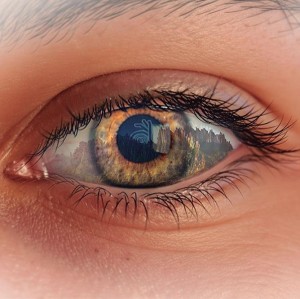 50 anys de Foto Art Manresa