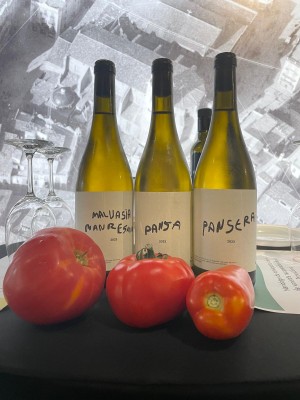 Visita a les vinyes i tast de vins de varietats experimentals de la Torre Lluvià