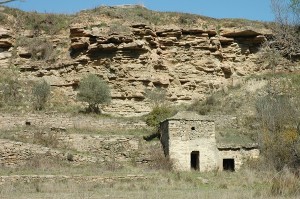 Pedra seca, vinya i vi - Ruta guiada, visita i tast al celler Fargas-Fargas