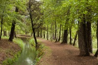 Parc de la Sèquia