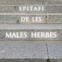 16 EPITAFI DE LES MALES HERBES