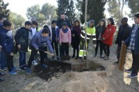 Avui s'ha inaugurat un itinerari botànic al Parc de Puigterrà amb la plantada de tres arbres 
