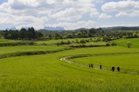 Els participants en la primera Marxa del Pelegrí fan el ple i valoren positivament l'experiència