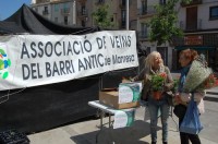 Arrenquen les inscripcions per al 2n concurs de guarniment floral de balcons al Centre Històric