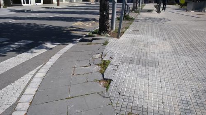 Imatge de la notícia
