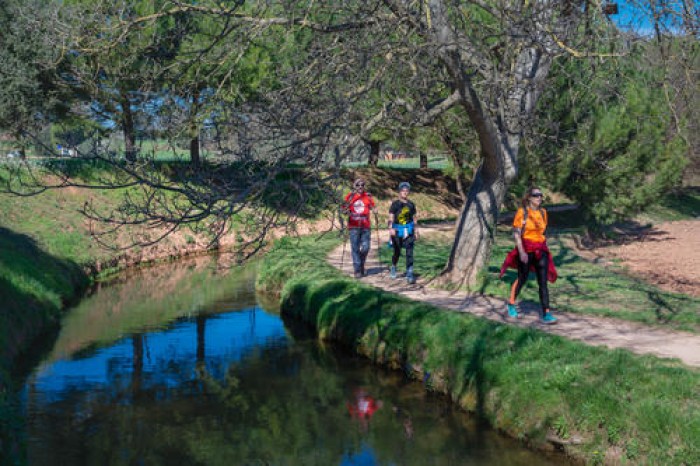 Imatge de la notícia