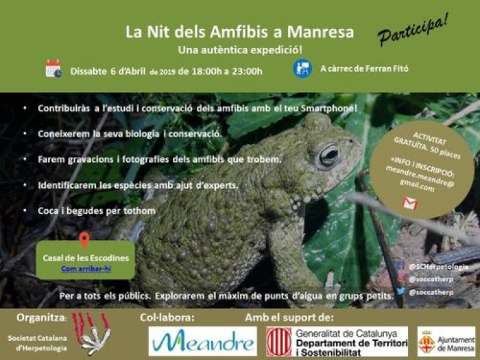 Imatge de la notícia