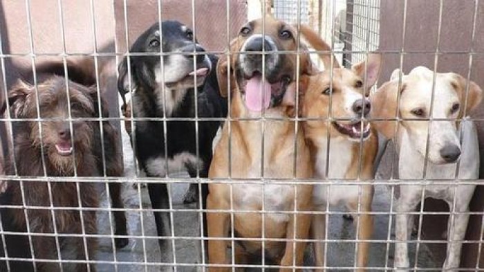 Imatge de la notícia