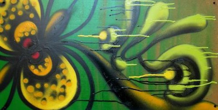 Imatge de la notícia