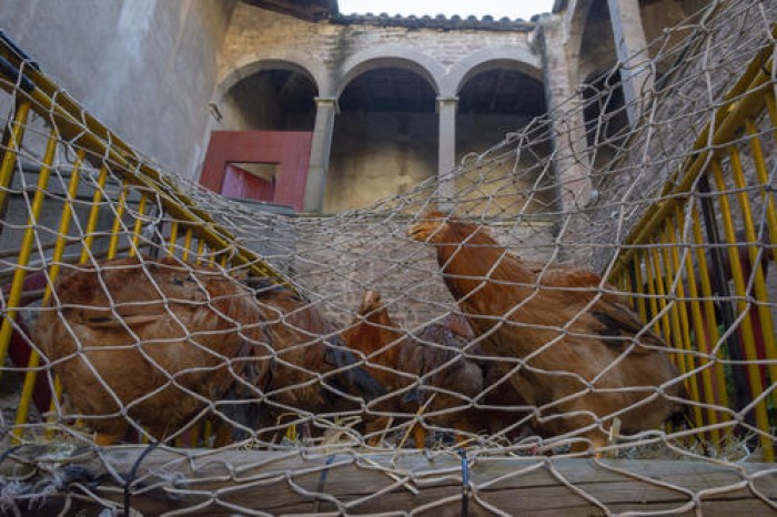 Imatge de la notícia