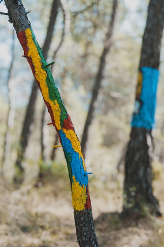 Dijous s'estrena Natura és Cultura, una exposició fotogràfica i audiovisual que mostra el treball artístic de persones d'entitats de salut mental de Catalunya