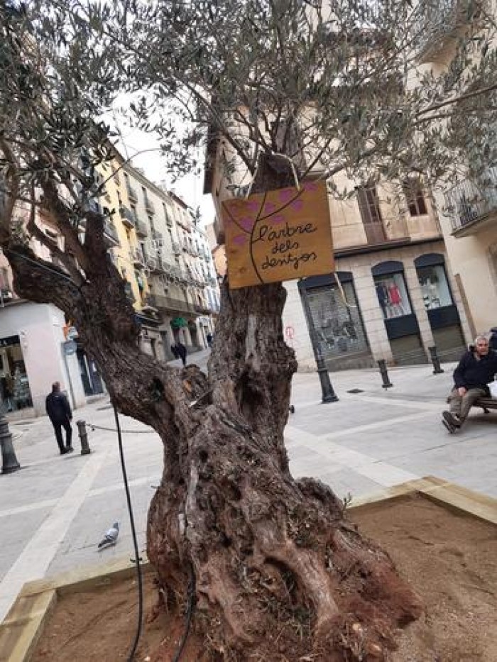 Imatge de la notícia