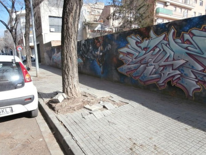 Imatge de la notícia