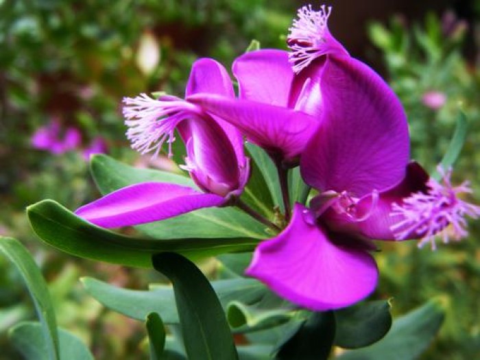 Imatge de la notícia