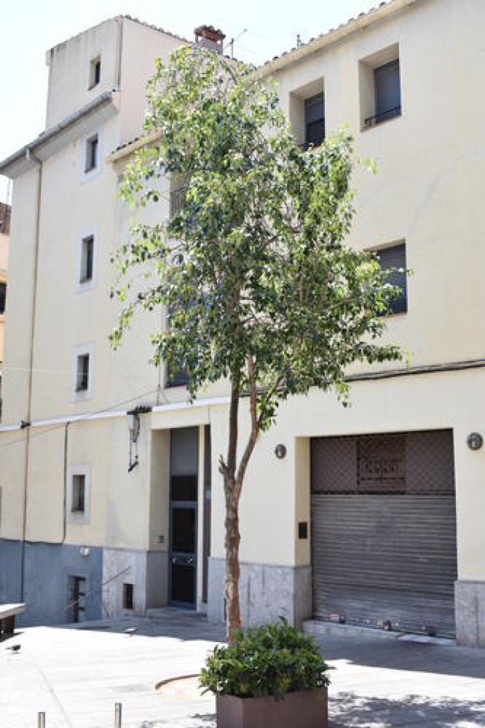 Imatge de la notícia