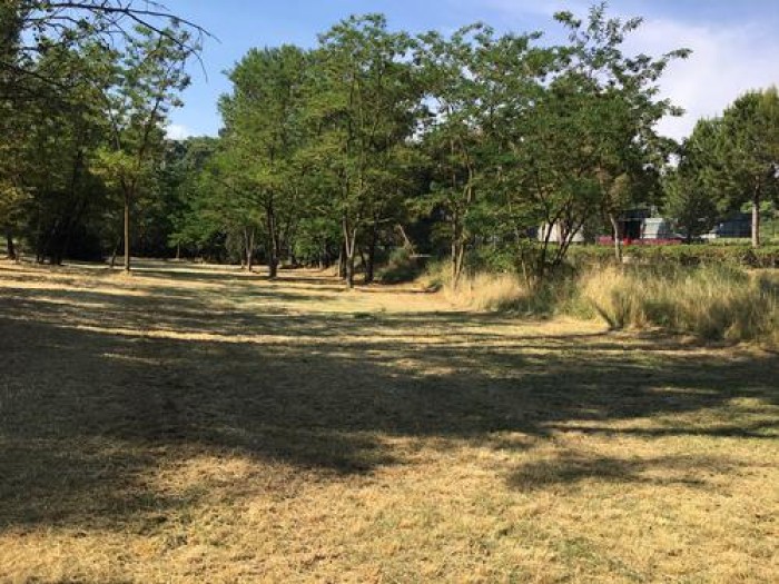 Imatge de la notícia