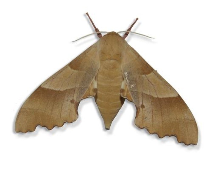 Imatge de la notícia