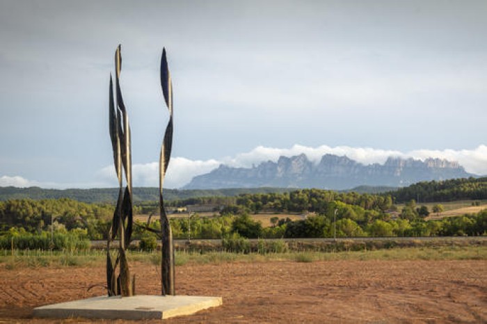 La tercera edició del festival de 'land art' Microscopies tindrà lloc a la Torre de Santa Caterina