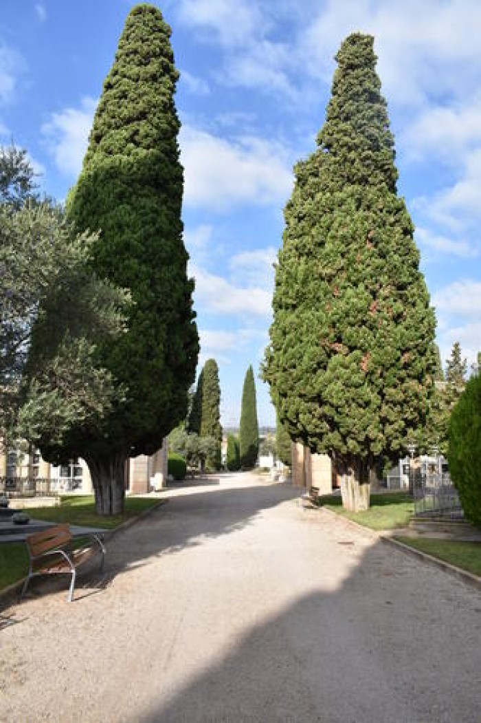 Imatge de la notícia